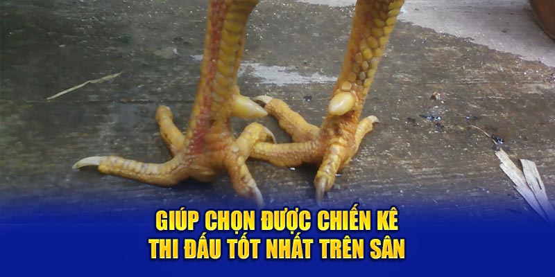 Giúp chọn được chiến kê thi đấu tốt nhất trên sân 