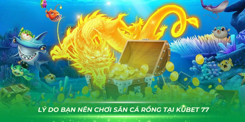 Những lý do bạn nên chơi Săn Cá Rồng tại Kubet 77